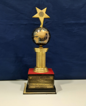 Star Performer Trophy Awarded