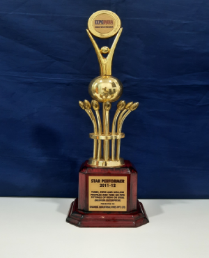 Star Performer Trophy Awarded